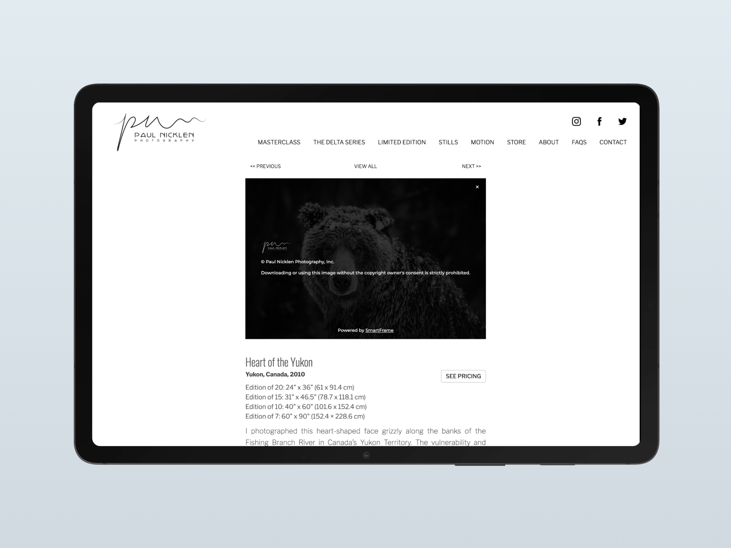 Digital asset protection implementation